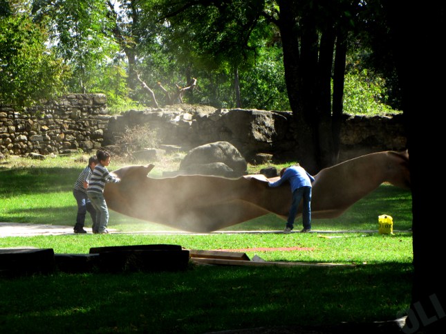 manglisi bavshvebi 001