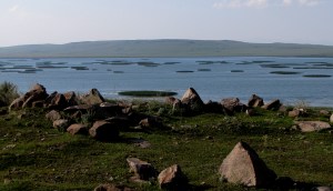 xanchali 001