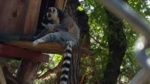 11414417_1065025683527251_1098806256_n