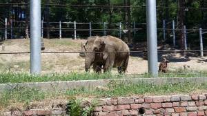 11418321_1065025120193974_379401455_n